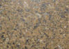 Tropical Brown